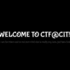 CTF@CIT 2024 Writeup