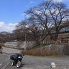 フラッと勝沼・桜＆桃の花の下見へ