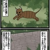 『ほら、ここにも猫』・第409話「虫の進化2」（Insect evolution2）