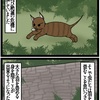 『ほら、ここにも猫』・第409話「虫の進化2」（Insect evolution2）