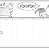 カーテンレールの先には