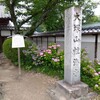 今年も性海寺歴史公園の「稲沢あじさいまつり」を見に行った