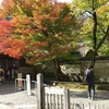 秋の嵯峨嵐山　おすすめ紅葉スポット　②宝厳院