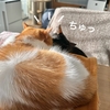 ダブルの奇跡！