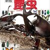 Books: 小学館の図鑑NEO 〔新版〕昆虫