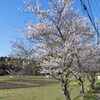 土曜日　少しウォーキングする