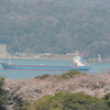 2012/04/04  手向山の桜と関門海峡を通る貨物船と金ノ弦岬灯台と