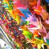 Thousand Paper Cranes・おりづるの鎮魂歌