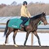 ２８日の中京・芝２０００ｍでのデビューを予定。鞍上には鮫島駿Ｊ。☆インターポーザ―