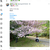 1日1ポスト！ 2024.9.17 その2 ─ マドカさん 2024.4.13 明治村 ─