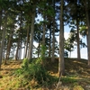胎内市散策「城の山古墳」