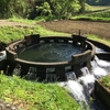 音無井路十二号分水（大分県竹田市）～こんこんと湧き出す水を3方向に分水する80年前の水利施設