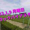 2023,1,9 月曜日 トラックバイアス予想 (中山競馬場、中京競馬場)