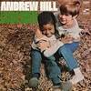 「Andrew Hill - Grass Roots (Blue Note) 1968」過激な時代に作られた穏やかなアルバム