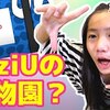 1月20日の動画