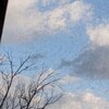 3/22(土)　今日は、殆どの時間、留守番をしながら本を読んて、深く感動させてもらった。