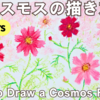 かんたん　コスモスイラスト・絵の描き方【初心者・こども　サクラクレパス】