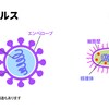 【理科・社会】教えるにつなげる会話ネタ　～コロナウイルス編～