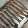 キス釣り　玉や⑦