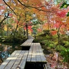 【究極の京都観光２泊３日紅葉モデルコース】嵐山～永観堂～東福寺を巡る！穴場やライトアップ情報も♪京都ブロガーが秋の魅力を伝授