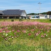 甲賀教室近況🌹✨