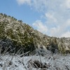 ４月３日　雪