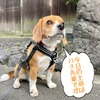 12歳