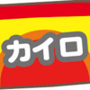 【93rd*本日の発見】カイロは揉まない♪♪