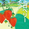 【小4の読書】長女が3学期（1月～3月）に読んだ本33冊を全て紹介。