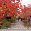 常照寺（鷹峯）の紅葉2025：見頃と色づき状況、混雑を避けるコツ！
