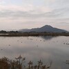 早崎内湖ビオトープ，湖北野鳥センター