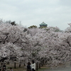 大阪城公園