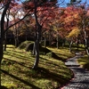 秋の箱根　紅葉の赤と苔の緑を楽しめる箱根美術館の苔庭を散策（Hakone museum of art）