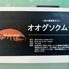 オオグソクムシ食べに横浜八景島シーパラダイス行ってきた！