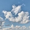 おばあさんが始めた惣菜店が繁盛している