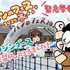 【イベント in 横浜】緊急レポ！横浜赤レンガ倉庫⁡にて開催の ⁡『パンのフェス2024春』にアラジン初出店！