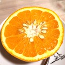 あした星 20代のリアルな日常