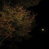今週の三田・里山キャンパス（69）：10月2度目の満月