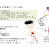 不整脈：ペースメーカーについて　その2 ；AAIとrate response(レートレスポンス)機能について　〜基本34〜