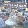 【静岡・伊東】伊豆シャボテン動物公園へ行って来ました