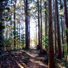 いつもの山で道に迷う