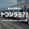 電車にトコジラミ？！トコジラミに刺されないための対策