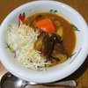 カレーライスのご飯の代わり ✩.*˚試してみました(キャベツカレー、カリフラワーカレー、木綿豆腐カレー)✩.*˚