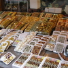 韓国の流行りスイーツは餅｜ピザソルギ・ヨーグルト餅とは