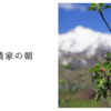 津軽農家の朝