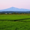 鳥海山・お花見トレッキング。前編（2021年7月15日）