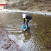 第5回やまめ稚魚放流実施