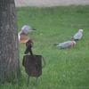 Garden ornaments