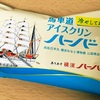 【神奈川・横浜】「馬車道アイスクリンハーバー」を食べました【冷やしておいしい！】