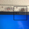 運命は自分で変えられる？